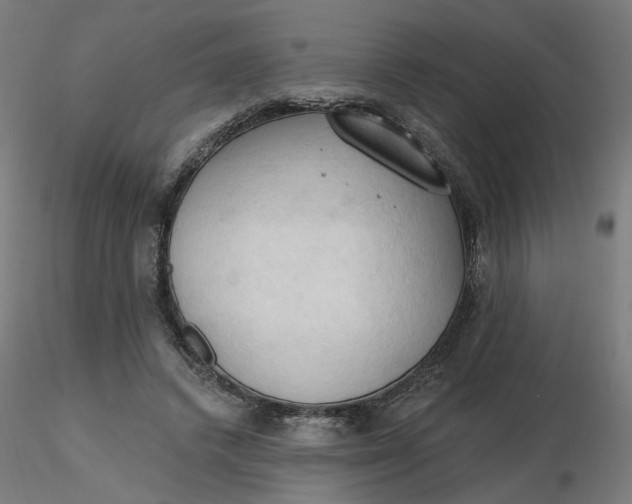 X0000116510448200912231237