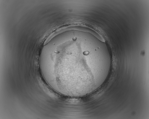 X0000116510449200912231237