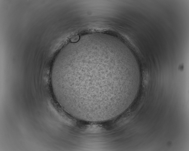 X0000116510451200912231237