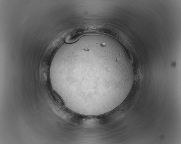 X0000116510452200912231237