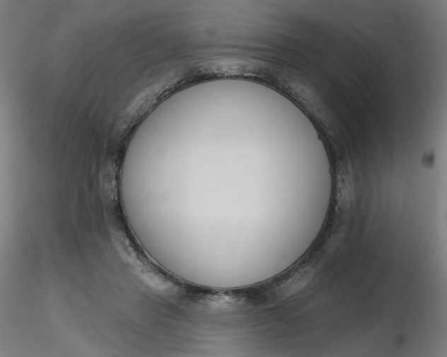 X0000116510453200912231237