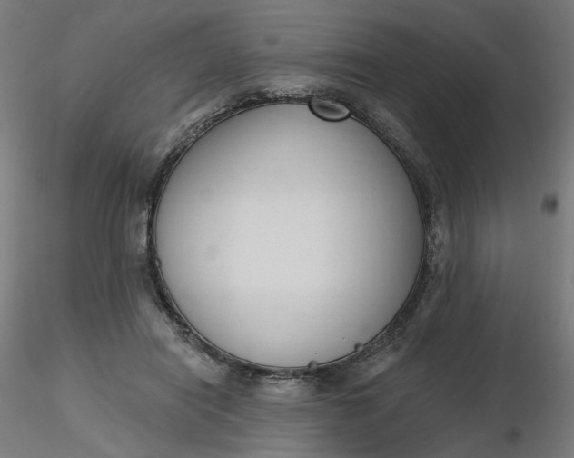 X0000116510454200912231237