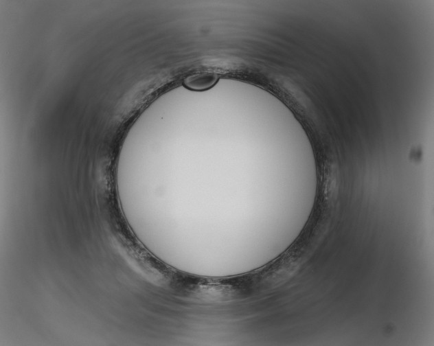 X0000116510455200912231237