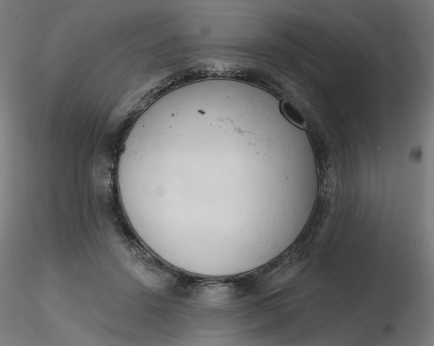 X0000116510456200912231237