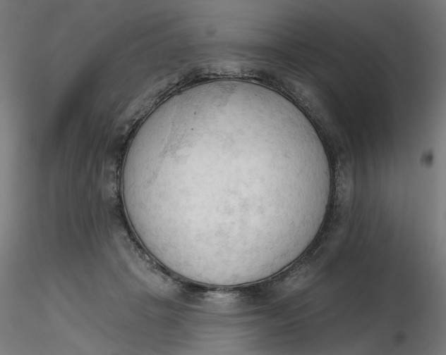 X0000116510457200912231237