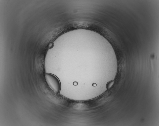 X0000116510460200912231237