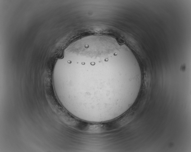 X0000116510461200912231237