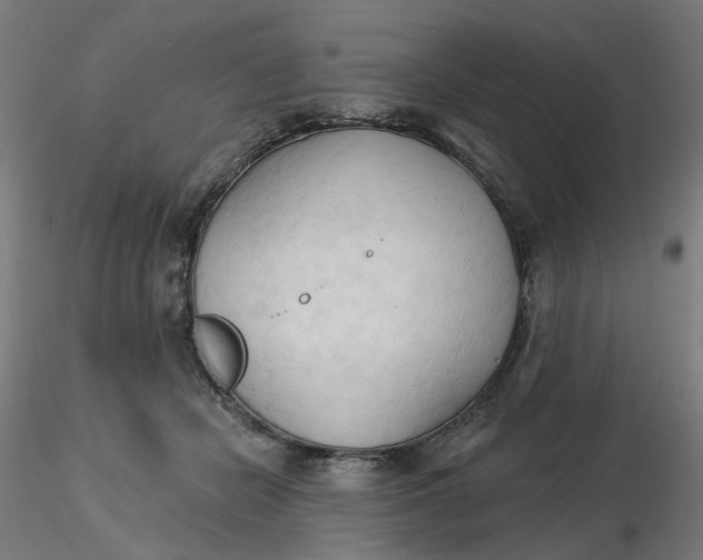 X0000116510462200912231237