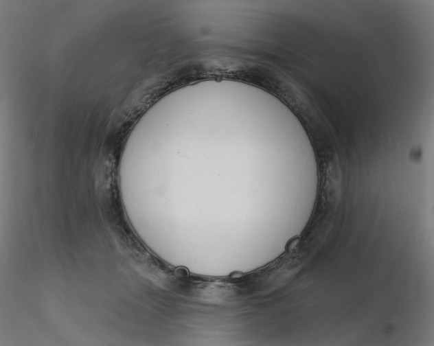 X0000116510463200912231237