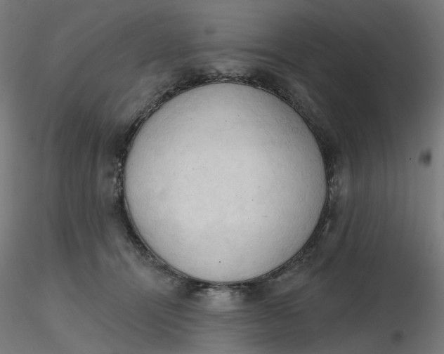 X0000116510464200912231237