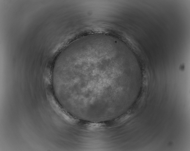 X0000116510465200912231237