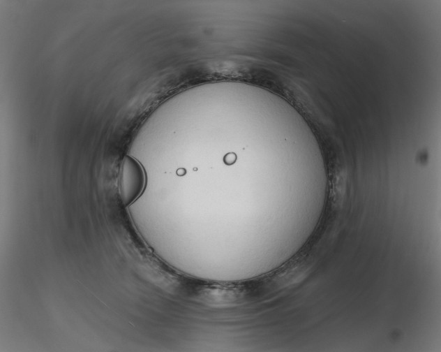 X0000116510466200912231237