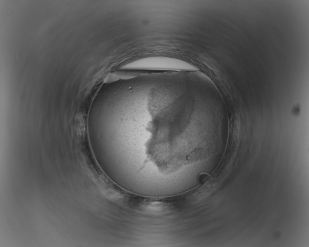 X0000116510467200912231237