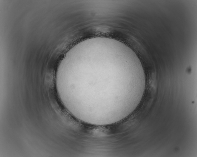 X0000116510468200912231237