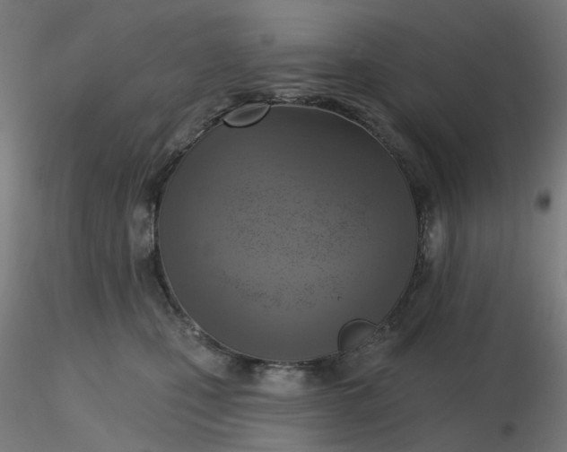 X0000116510471200912231237