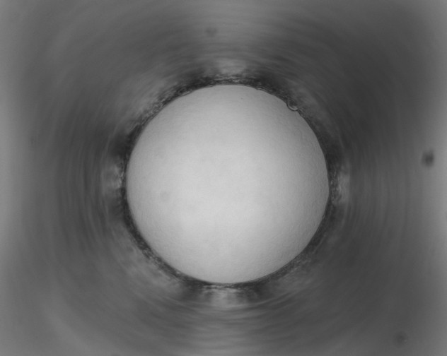 X0000116510472200912231237