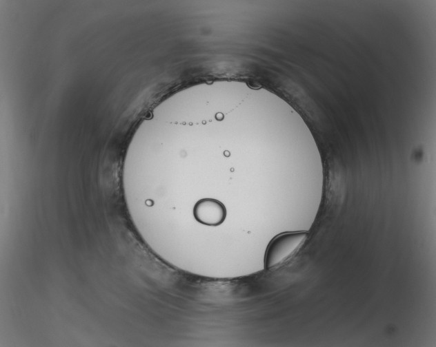 X0000116510473200912231237