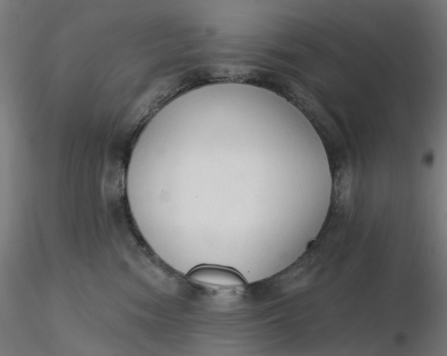 X0000116510474200912231237