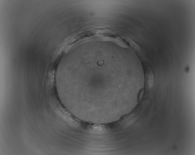 X0000116510475200912231237