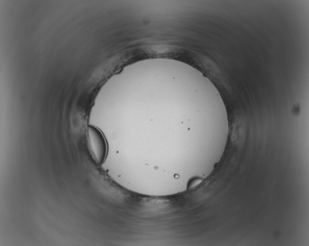 X0000116510476200912231237