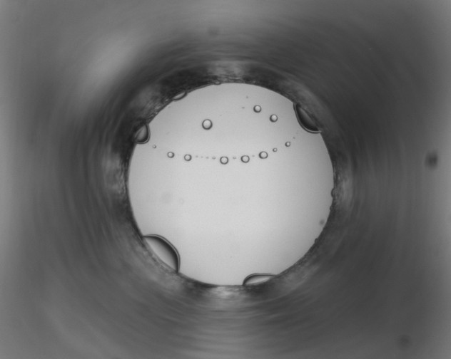 X0000116510477200912231237