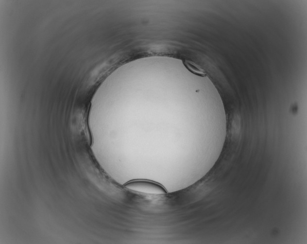 X0000116510478200912231237