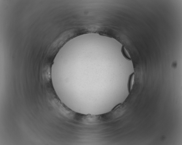 X0000116510479200912231237