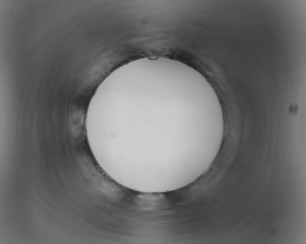 X0000116510480200912231237