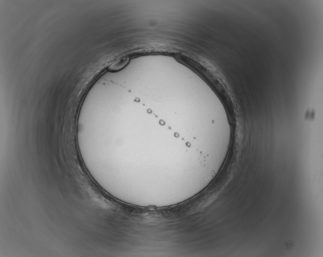 X0000116510481200912231236