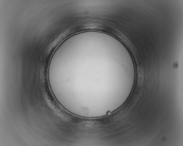 X0000116510482200912231236