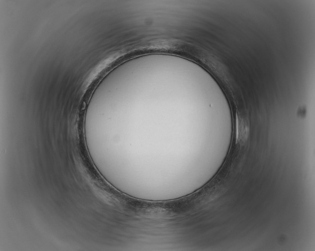 X0000116510483200912231236