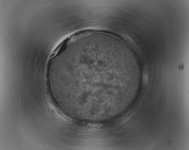 X0000116510484200912231236