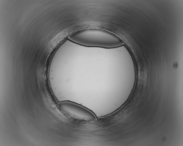 X0000116510485200912231236