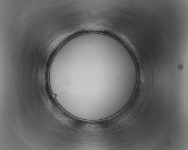 X0000116510487200912231236