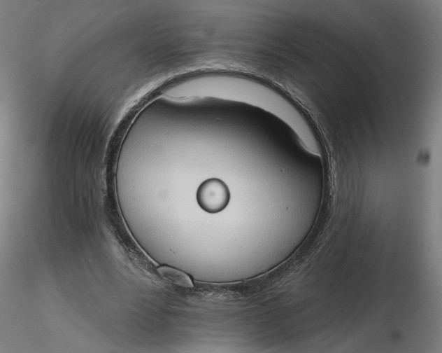 X0000116510488200912231236