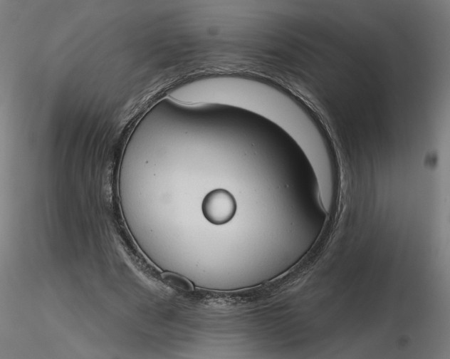 X0000116510489200912231236