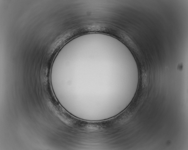 X0000116510490200912231236