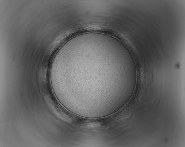 X0000116510491200912231236