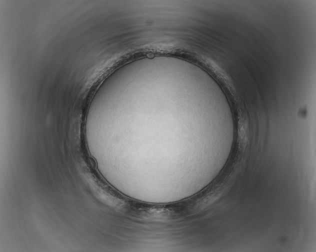 X0000116510493200912231236