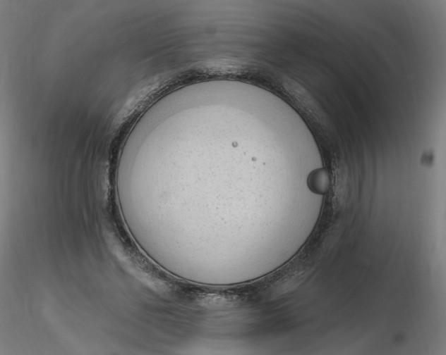 X0000116510494200912231236