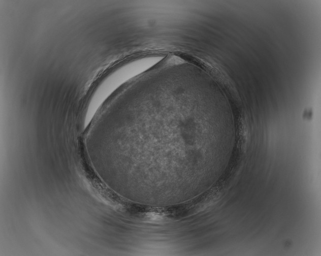 X0000116510496200912231236