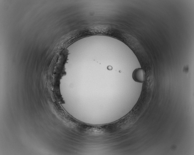 X0000116510498200912231236