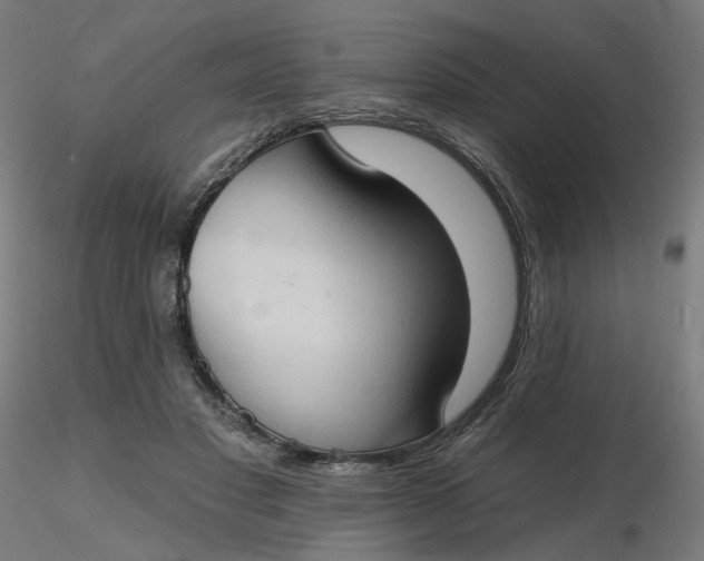 X0000116510501200912231236