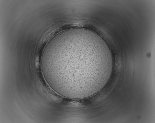 X0000116510502200912231236