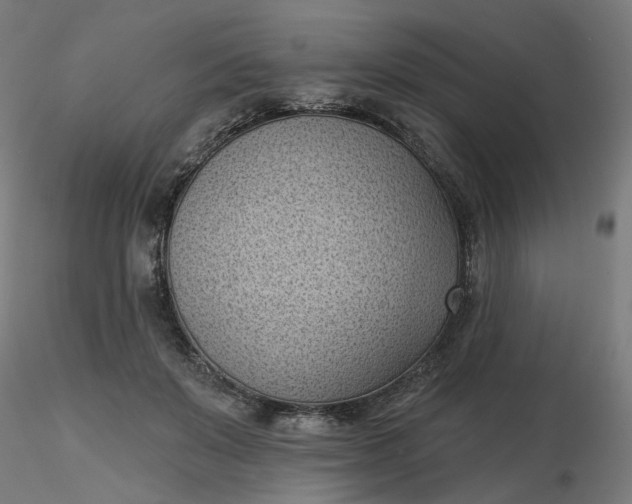 X0000116510503200912231236