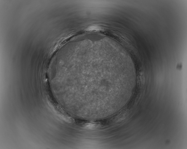 X0000116510504200912231236