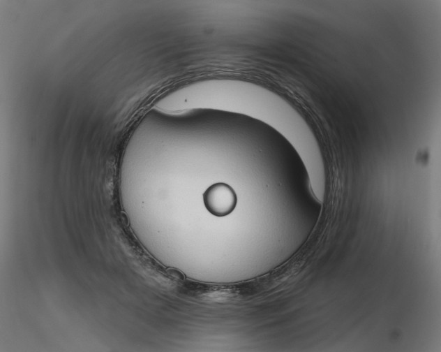 X0000116510505200912231236