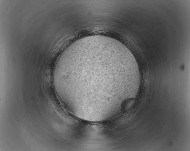 X0000116510506200912231236