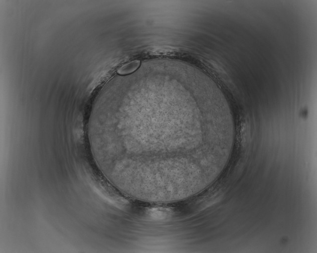 X0000116510508200912231236