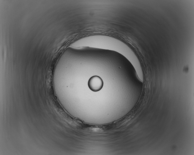 X0000116510509200912231236